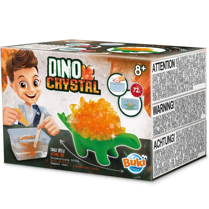 Discover BUKI France 9009 Dino Crystal Educational Science Set