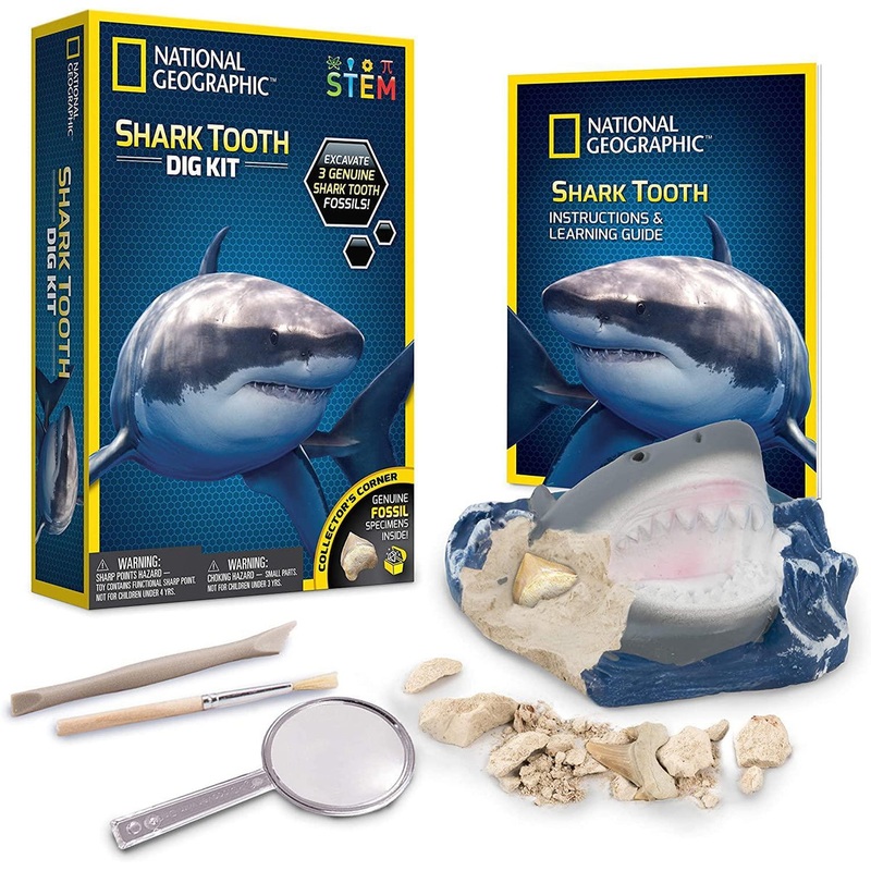 National Geographic Shark Tooth Mini Dig kit