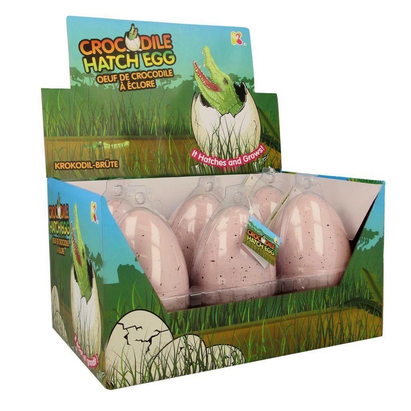 NURCHUMS Hatching Egg. Hatch and Grow Pet Crocodile – Large 11cm