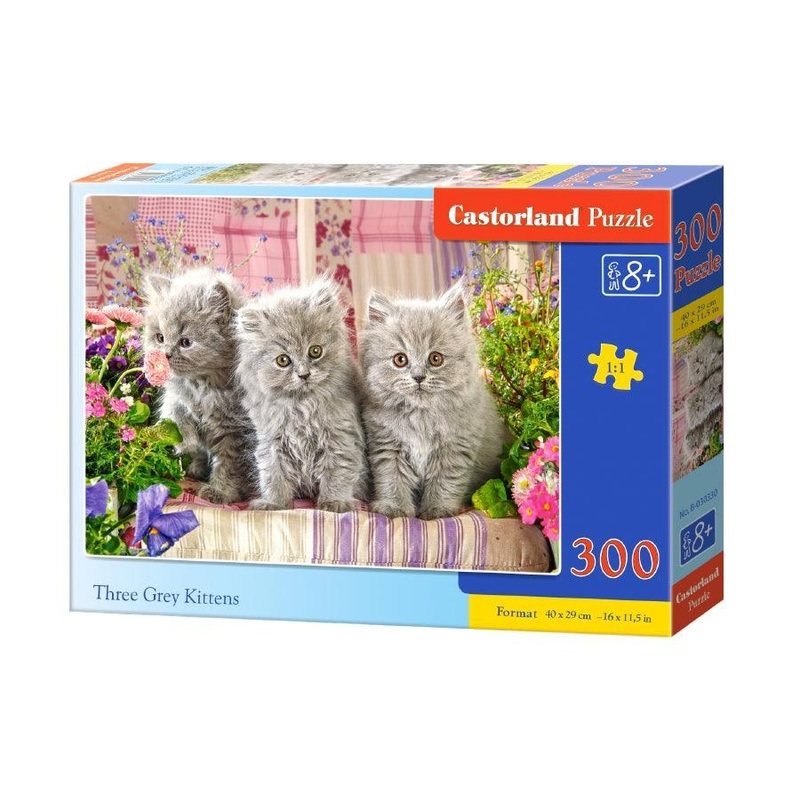 Castorland 300 Piece Jigsaw Puzzle – Three Grey Kittens