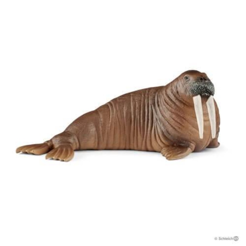 Schleich 14803 Walrus Wild Life Figure