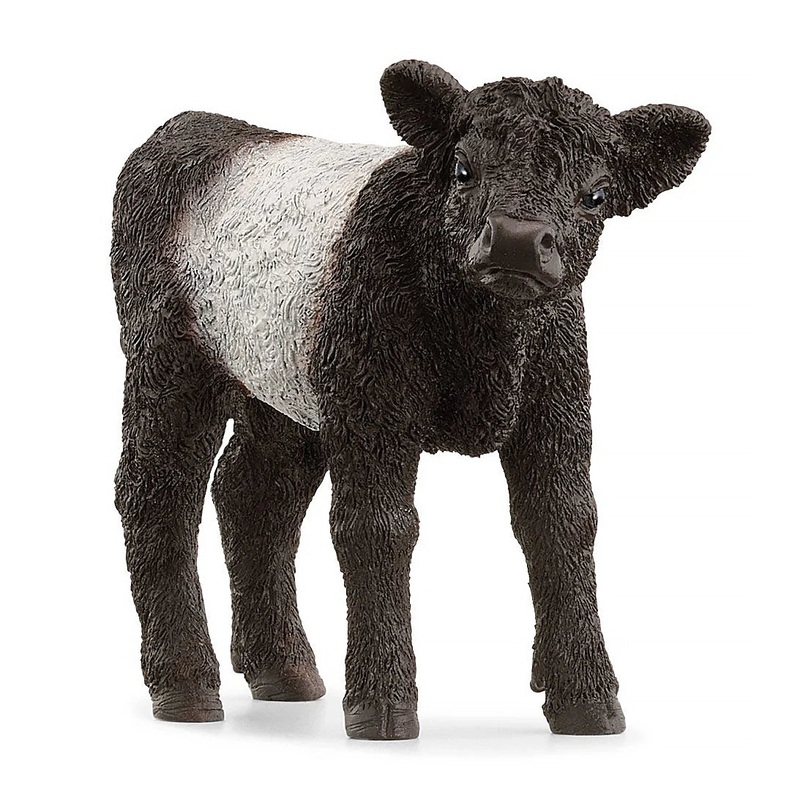 SCHLEICH 13969 Galloway Calf