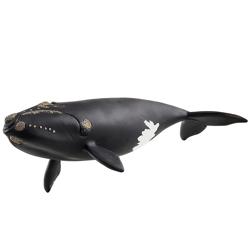 SCHLEICH 14878 Iceberg Right Whale