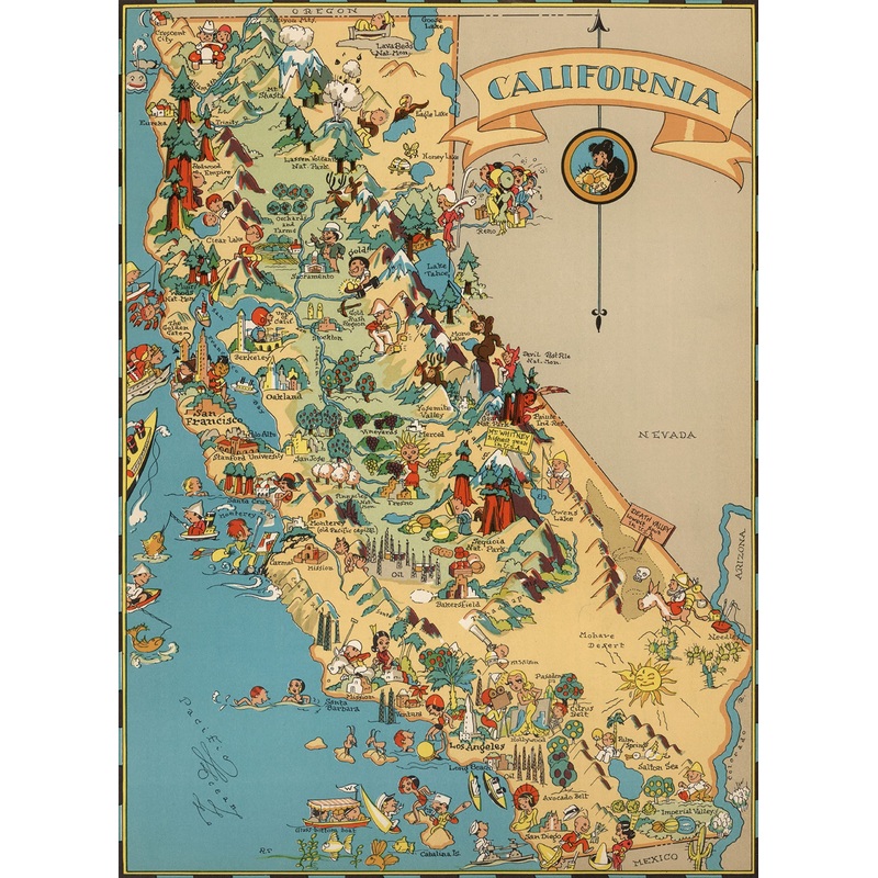 California Wooden Map Jigsaw Puzzle Toys for Adults USA of State Map Decorate Puzzle Games 500 Piece