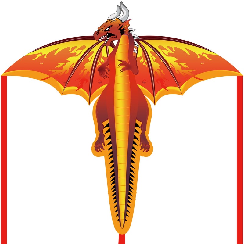 SNJOYFUL Dragon Kite for Kids & Adults, 55” Beach Kite Easy to Fly, Huge Kites for Kids Ages 4-8 for Beginners, with 328ft Stri