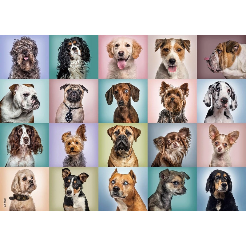 BEDUKE Jigsaw Puzzles for Adults 1000 Piece – Every Piece is Unique – Precise Interlocking Thick Sturdy Cardboard Dogs Animals F