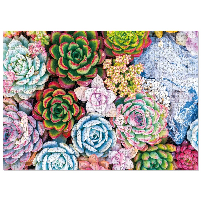 ELX 1000 Piece Jigsaw Puzzle for Adults,The Succulent Cactus Unique Difficult and Challenge Large Puzzle Game, Room Wall Decor (