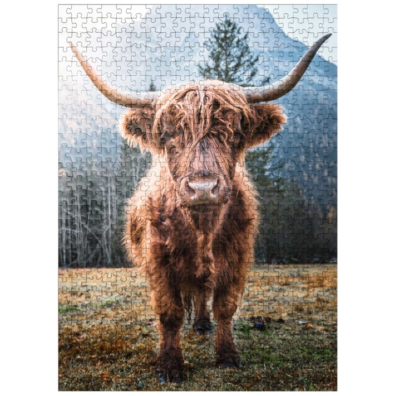 MyPuzzle Highland Cattle in The Italian Dolomites – Premium 500 Piece Jigsaw Puzzle for Adults