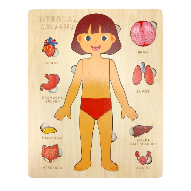 Wooden Body Puzzles for Kids, Toddler Montessori 14 Pieces Girl Anatomy Puzzle, Human Body Learning Toy with Internal Organs Ear