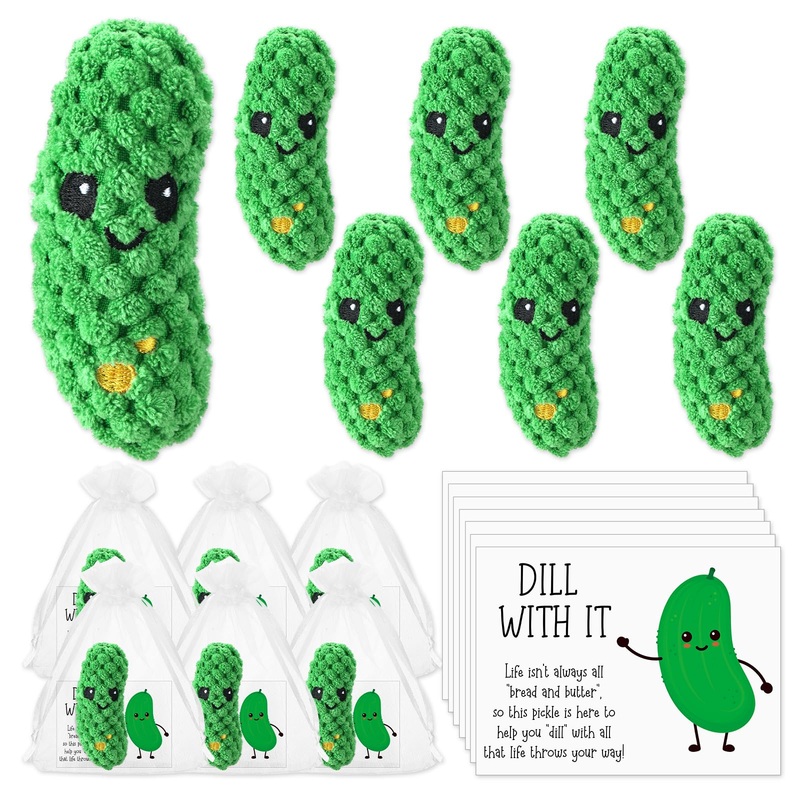 6 Set Crochet Pickle Gifts Bulk with Support Cards Positive Appreciation Party Favors for Employee Coworker Teacher Student Nurs