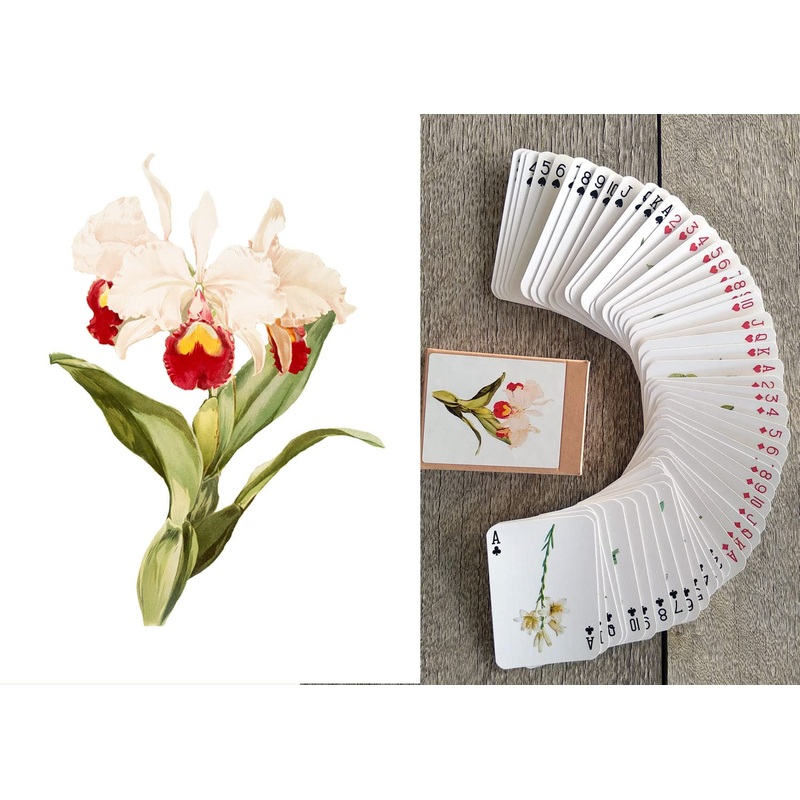 FLONZGIFT Beautiful Flowers Playing Cards (Poker Deck 54 Cards All Different) Vintage Flowers Botannical Illustration by Redoute