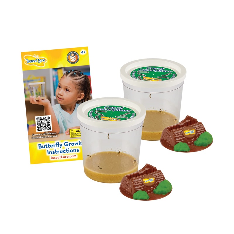 Two Cups of Caterpillars – Life Science & STEM Education – Butterfly Kit Refill – Painted Lady Butterflies – Includes Two Chrysa