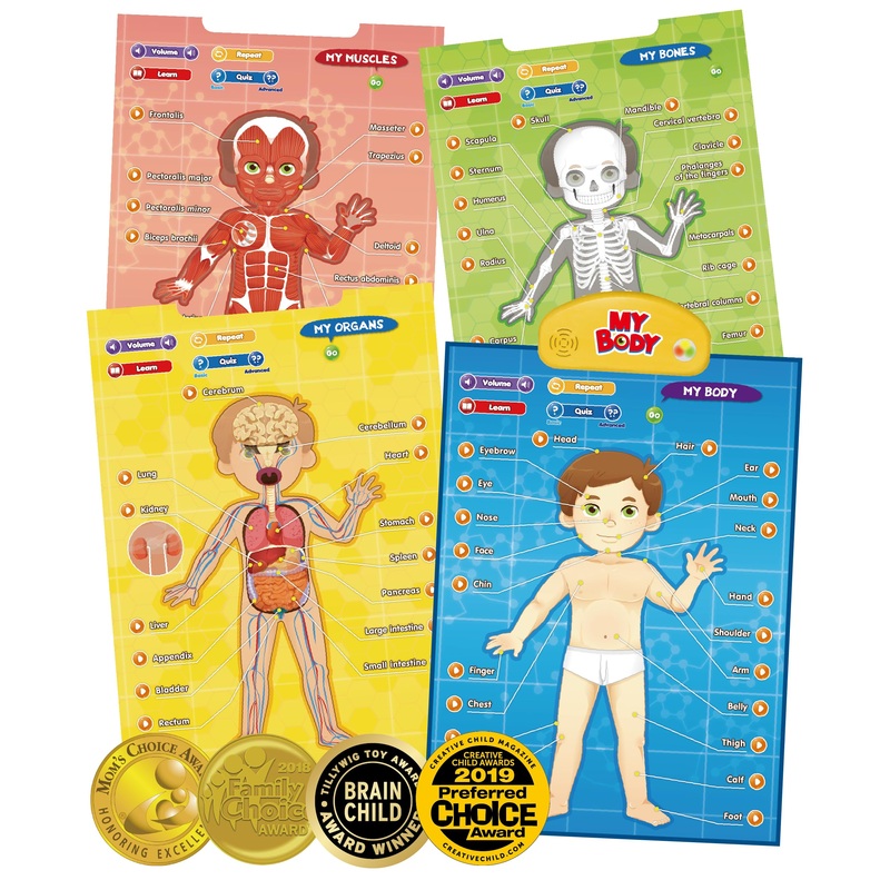 BEST LEARNING i-Poster My Body – Interactive Educational Human Anatomy Talking Game Toy | Learn Body Parts, Organs, Muscles and