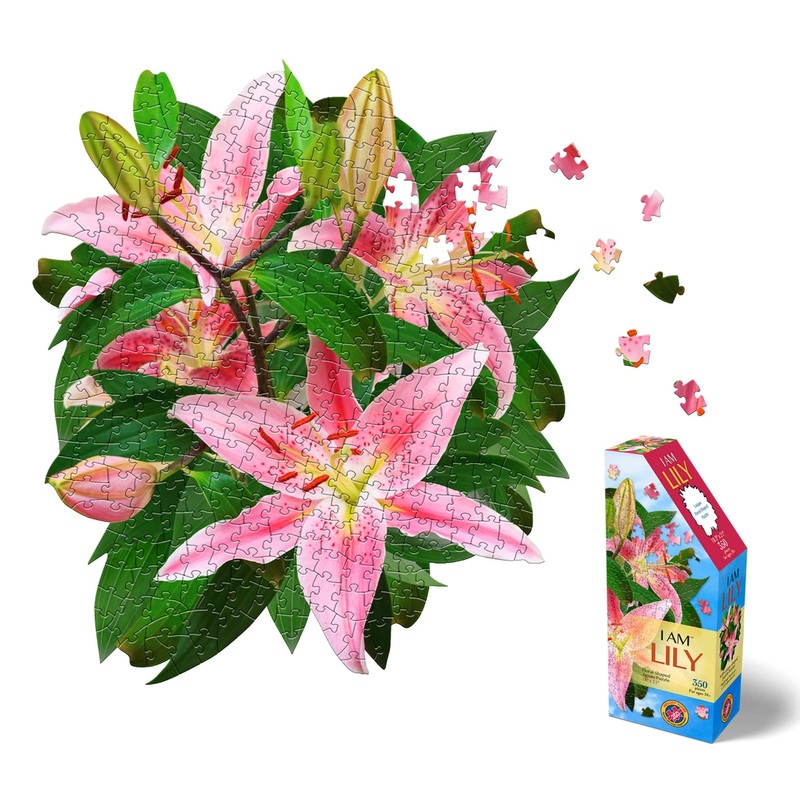 Madd Capp: I Am Lily – 350 Piece Jigsaw Puzzle – 8002 – Ages 10+, Unique Floral-Shaped Border, Challenging Random Cut, Includes