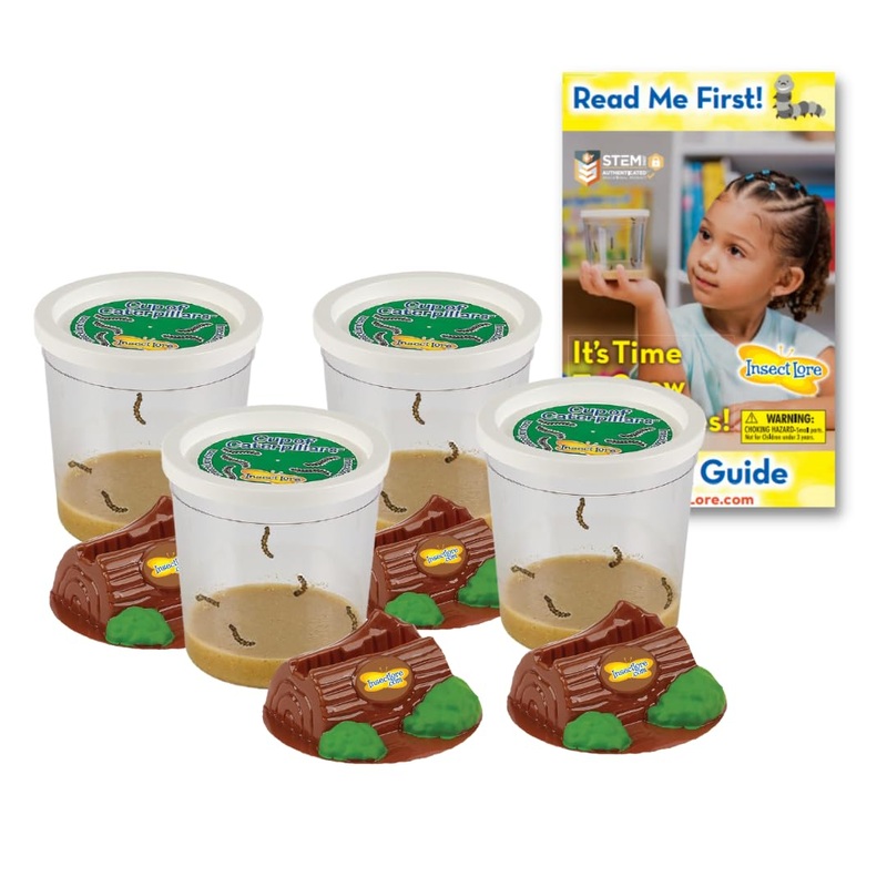 Insect Lore Funtastic 4 Cups of Caterpillars