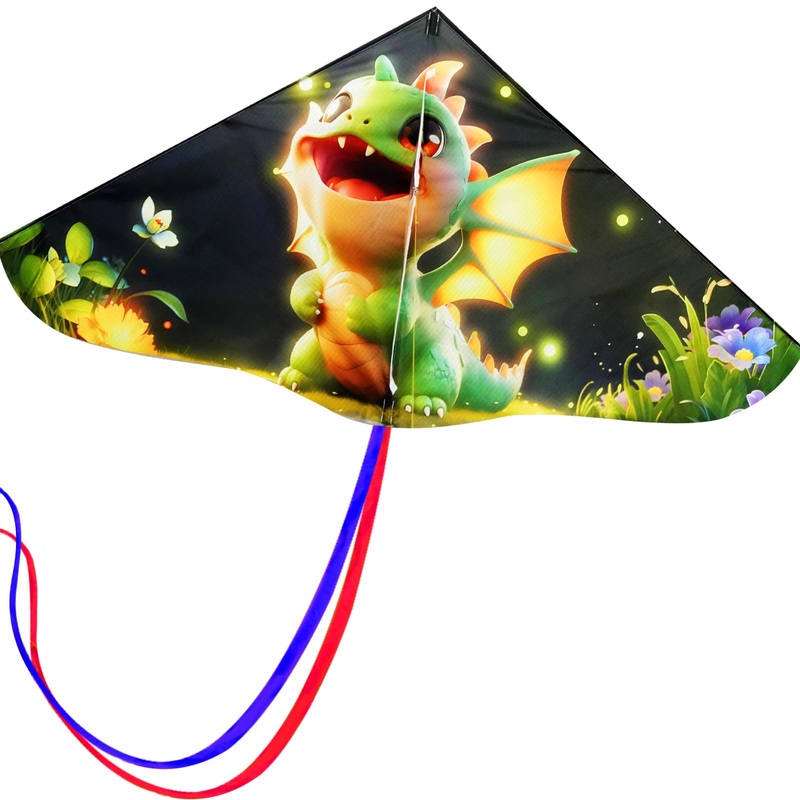 Hengda Kite Painting Series Delta Kite,For Kids And Adults,Easy To Fly,Excellent Fabric And Structure Design,The Pictures Are Be