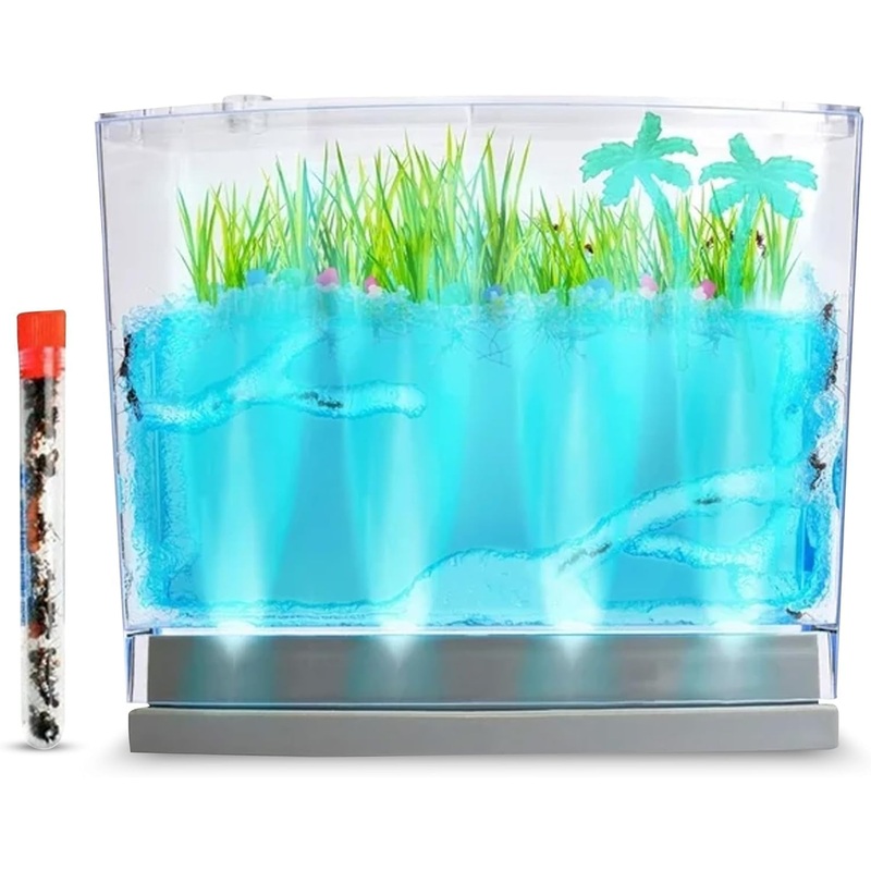 Led Lighted Gel Ecosystem Ant Habitat With 25 Live Ants – Eco-Terrarium Set – Includes Nutrient Gel, Seeds, Palm Trees, Rocks, A