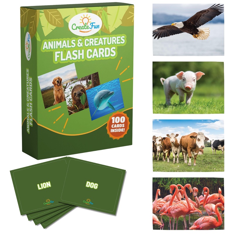 100 Animal, Insect & Ocean Creatures Flash Cards, Realistic Pictures For Fun Learning & Montessori Educational Vocabulary Builde