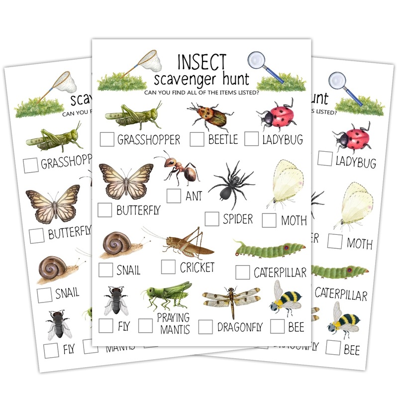 Ltazhyi Insect Scavenger Hunt Cards Set Of 30 Pcs, Nature Treasure Hunt Game For Family Friends, Outdoor Holiday Party Game Find