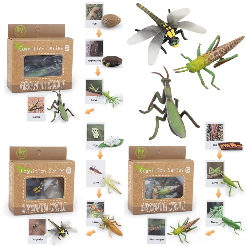 Montessori Life Cycle Animal Figures With Flash Cards, Realistic Animal Figurines Toy, And Educational Matching Game For Kids(Ma