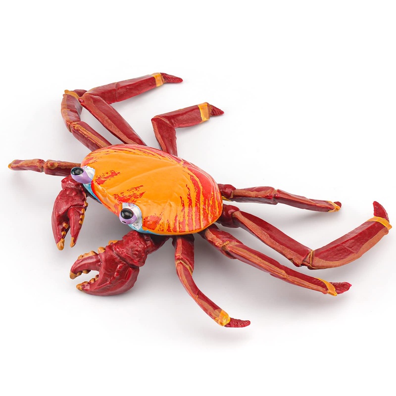 Lc Joycre Hermit Crab Toys Plastic Crab Figurine 5 Inch Sea Creatures Toys For Kids Crab Decor For Collection Realistic Sea Life