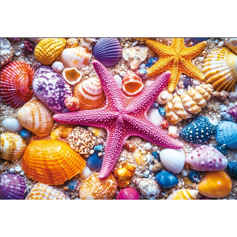 Puzzle For Adults 1000 Pieces – Colorful Seashell And Starfish Puzzle, 1000 Piece Beach Jigsaw Puzzle (15”X 10”)