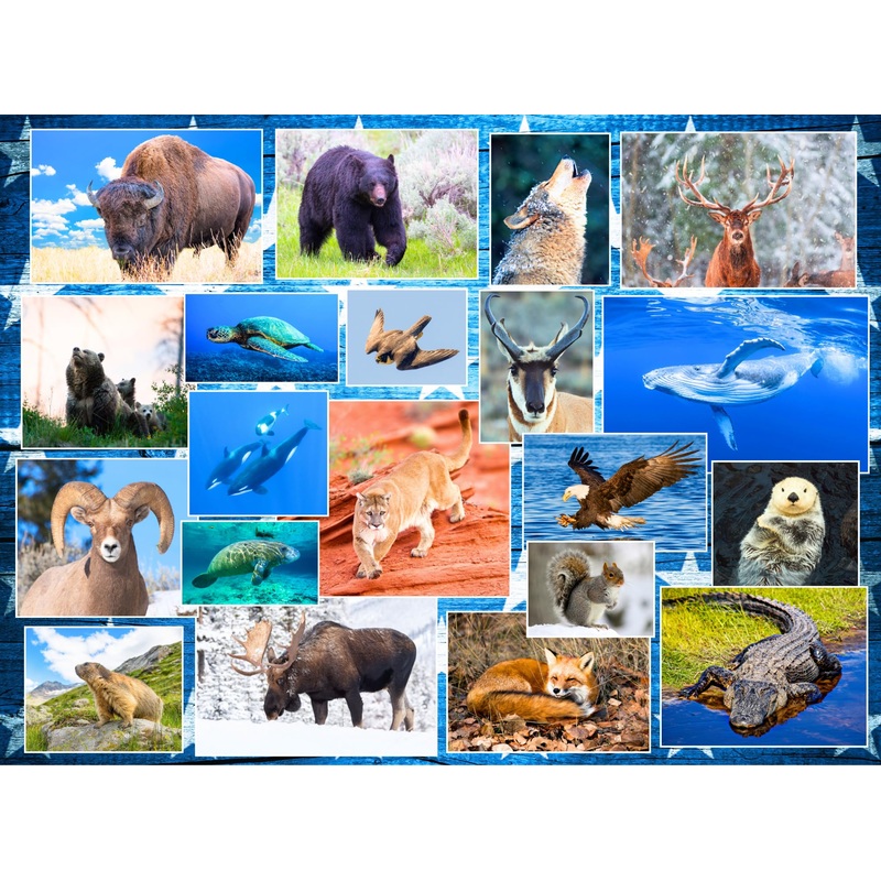 Wildlife Of Our National Parks 500-Piece Puzzle – Usa National Parks Jigsaw Puzzle, Animals From Acadia, Yellowstone, Zion, Arch
