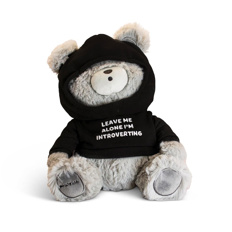 Punchkins Teddy Bear Plushie – Leave Me Alone, I’M Introverting Sassy Stuffed Bear, Gift For Introverts, Teddy Bear Toy For Gift