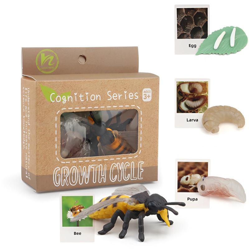 Boticako Montessori Life Cycle Learning – Montessori Life Cycle Animal Figures With Flash Cards, Plastic Insects Monarch Butterf
