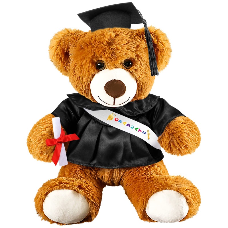 Foilswirl Graduation Bear 2025 With Gown Cap Tassel 9    Sky Blue Graduation Stuffed Animal Plush Bear Toy For Class Of 2025 Pre