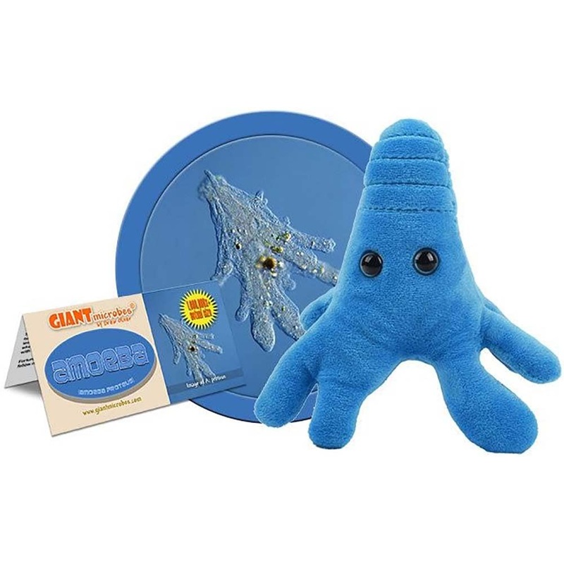 Giantmicrobes Amoeba Plush – Learn About Nature And Biology With This Cuddly Plush, Unique Gift For Family, Friends, Water Lover