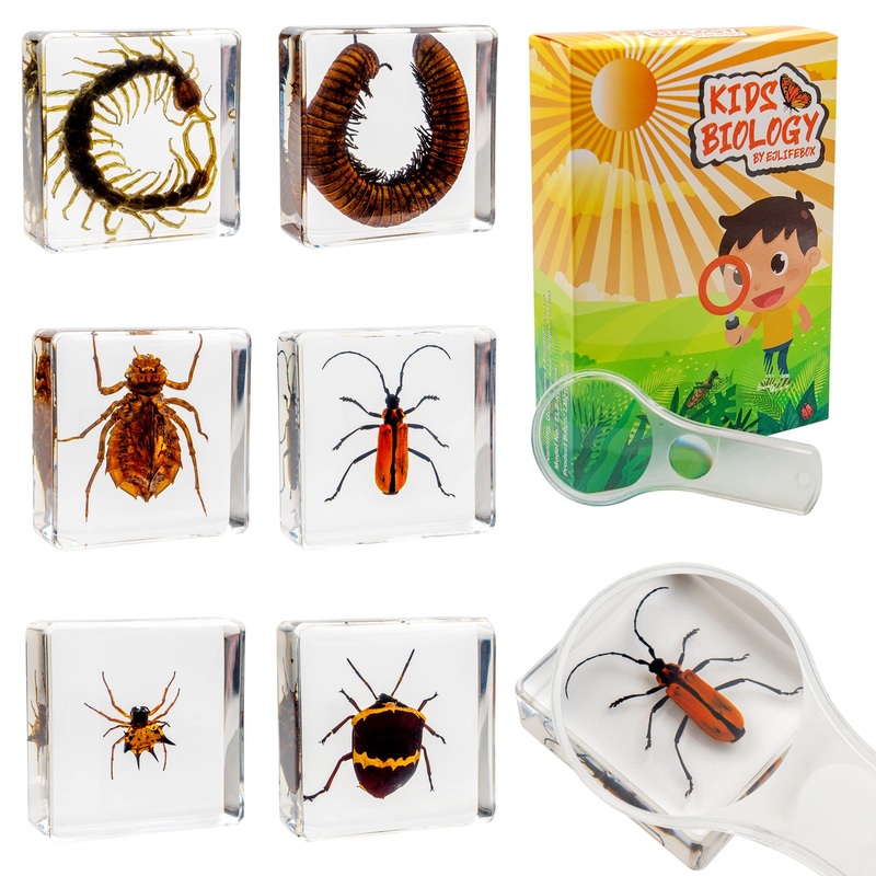 Insect Specimen Set, Bugs Collection Scientific Education Gift For Kids Aged 3-8-12 (Millipede, Centipede, Dragonfly Larvae, Tea