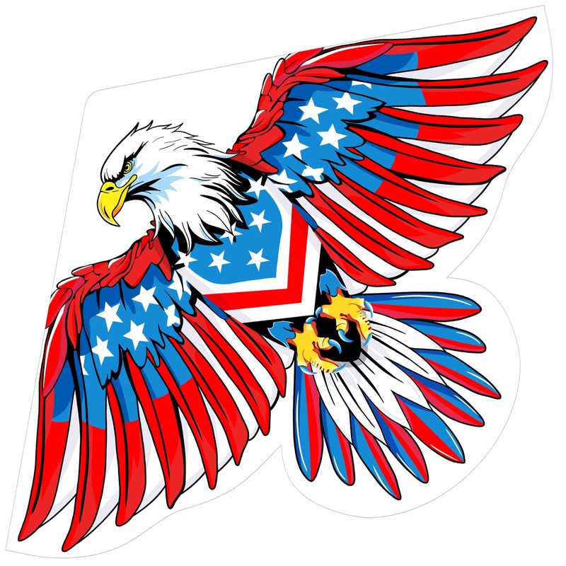 Honbo Eagle Kite, America Flag Kite For Kids And Adults. Wonderful Beginner Kite For Boys And Girls, Suitable For Ages 8-12, Bes