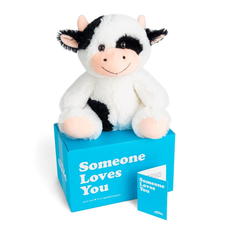Sendafriend Cooper The Cow Stuffed Animal Care Package, Someone Loves You Box, Great Gift For Any Reason (Love You Notecard)