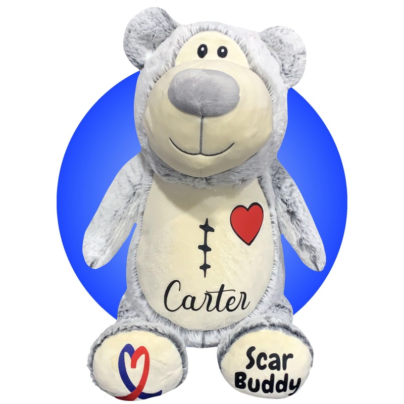 Personalized Chd Heart Warrior Teddy Bears – Heart Surgery Teddy Bear Gifts – Gifts For Kid Having Open Heart Surgery – Custom S