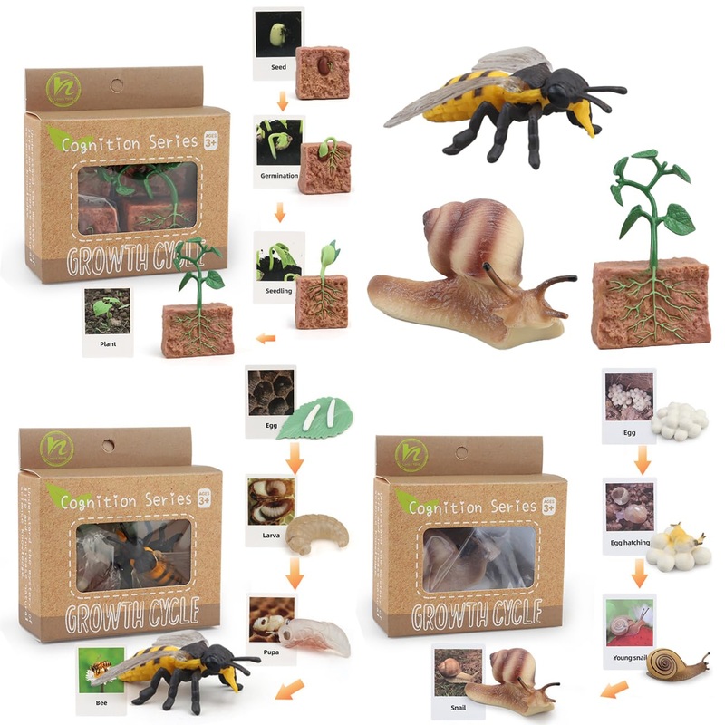 Montessori Life Cycle Animal Figures With Flash Cards, Realistic Animal Figurines Toy, And Educational Matching Game For Kids (P