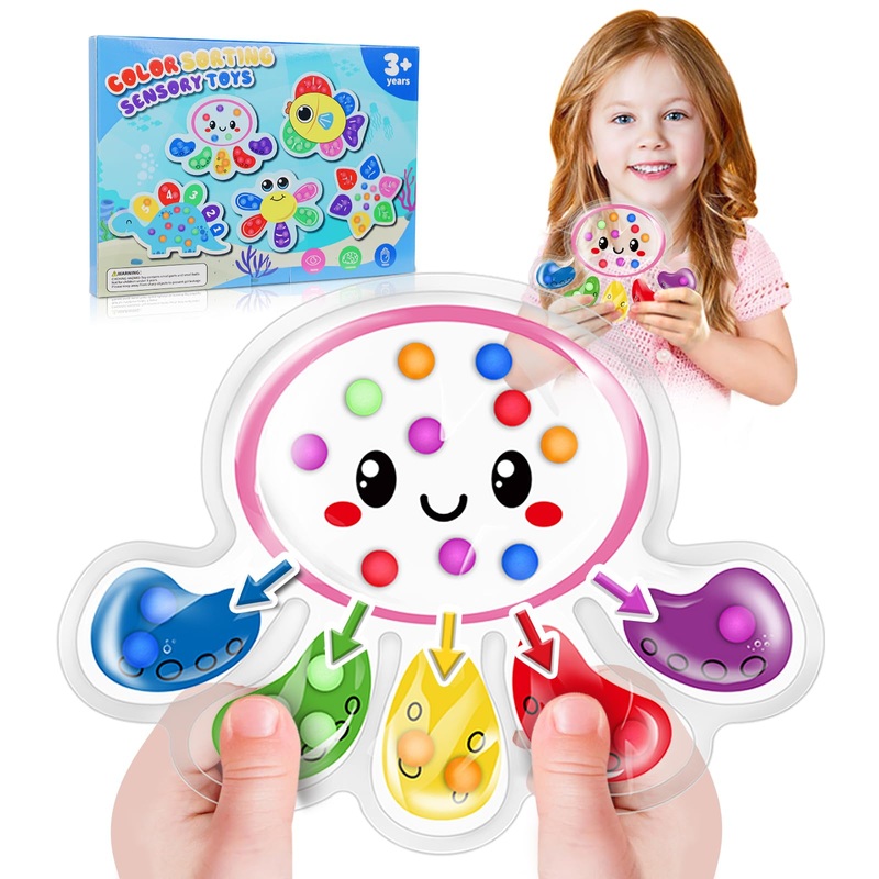 Color Sorting Sensory Toys, Toddler Travel Fine Motor Activities, Preschool Learning Calm Down Toys For Kids With Autism, Color