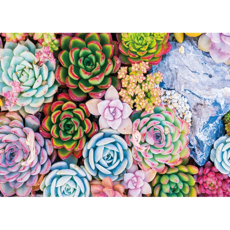 Buhah Succulent Jigsaw Puzzles Plant Puzzle 1000 Pieces For Adults Colorful Jigsaw Puzzles Botanical Puzzle Nature Collage Puzzl