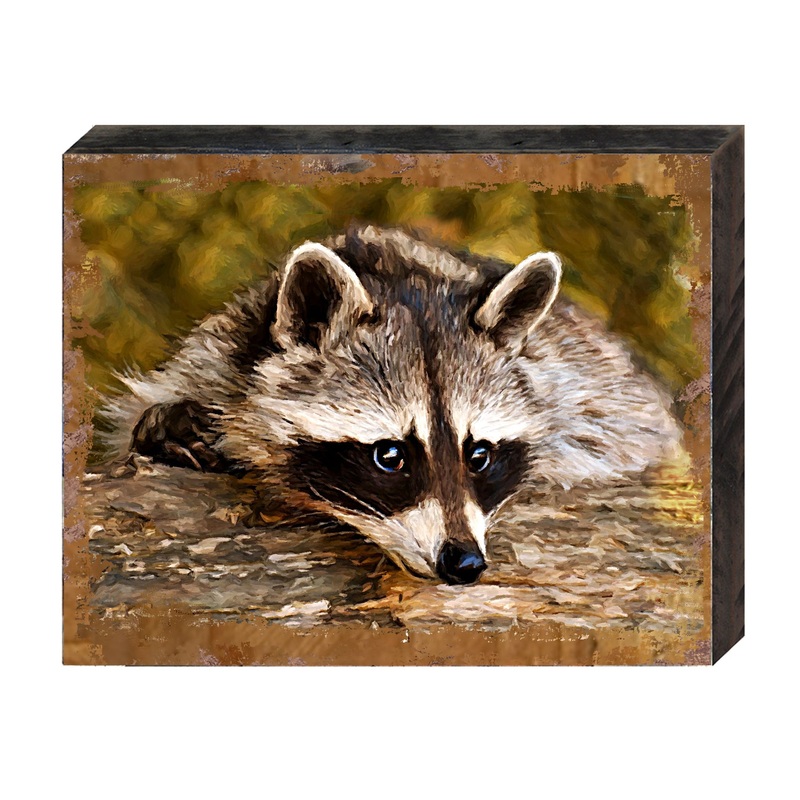 Racoon Art Wooden Wall Art by Nature Wonders – Nature Wildlife Decor  – 95289B