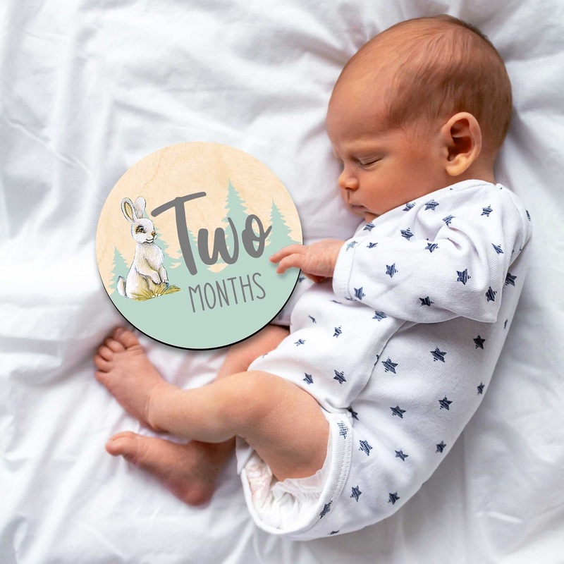 Baby Monthly Milestone Cards – Baby Photo Prop – Wooden Milestone Markers – First Year Photo Props – Gift For New Parents 961043-S12