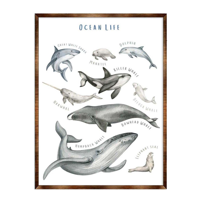 Ocean Animals Wooden Kids Room Dcor – First day of school gift – Homeschool I Montessori wooden Educational Poster – Classroom Dcor – Playroom Art – 310216