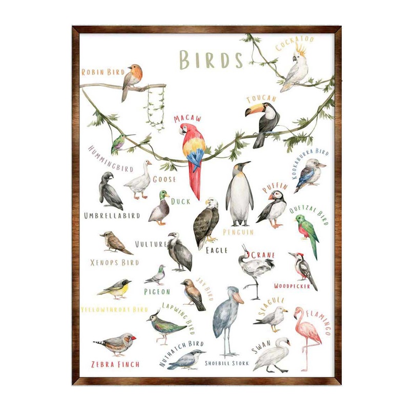 Nature Birds Wooden Wall Decor – Kids room decor – First day of school gift – ABC 123 Kids – Homeschool I Educational Poster – Art for kids – Alphabet – Classroom Decor – 310214