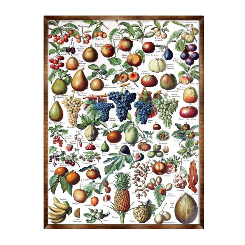 Fruit Montessori Wooden Poster – Homeschool I Educational Poster – Classroom Decor – Aesthetic – 310223