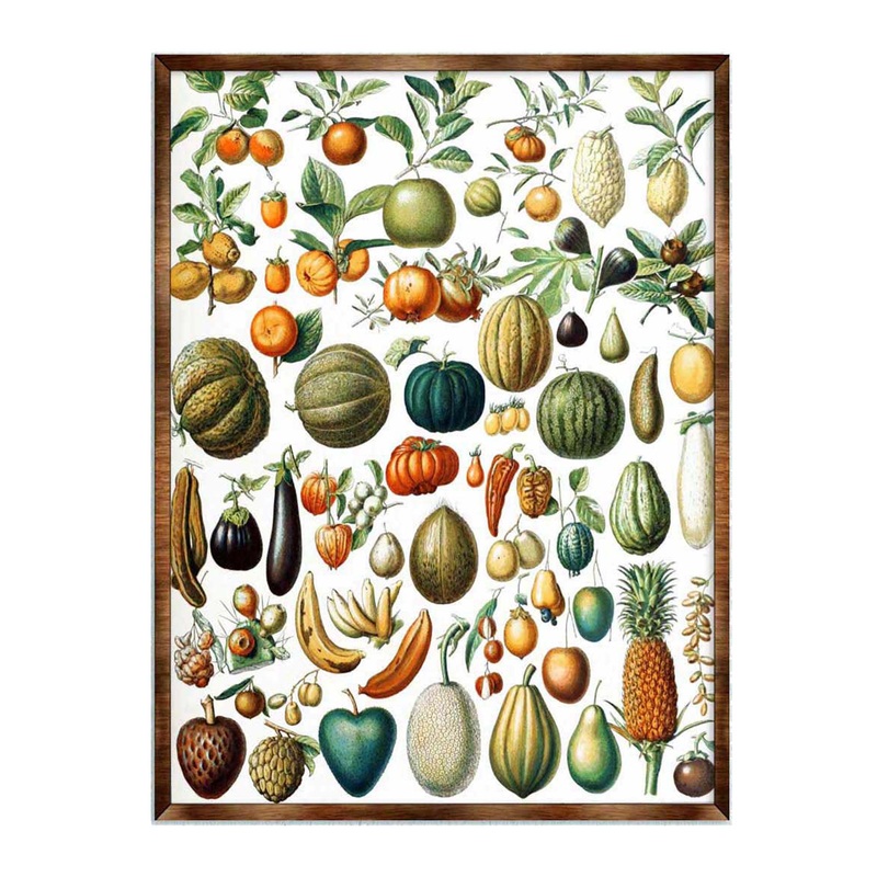 Fruit Montessori Wooden Poster – Kids Educational Poster – Homeschool I Classroom Decor – Aesthetic – 310224