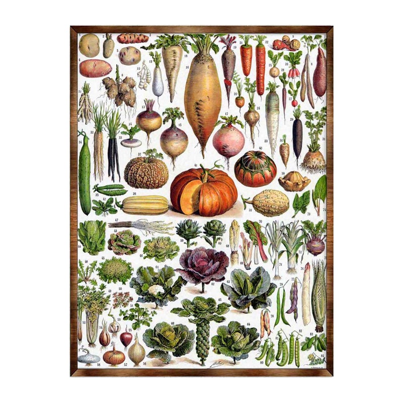 Kids Educational Poster with Root Vegetables – ?Montessori Wooden Poster – Homeschool I Classroom Decor – Aesthetic – 310225