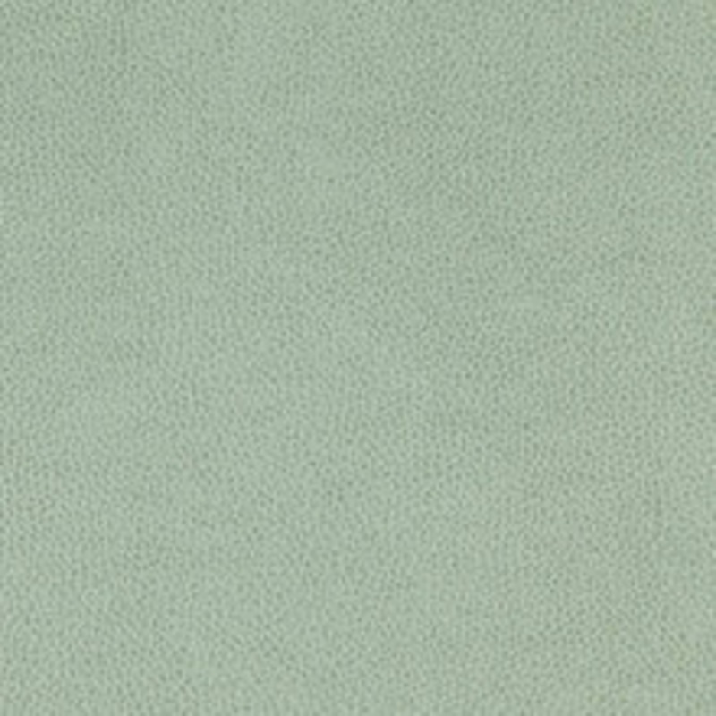 Nassimi Fabric Tolstoy Vista