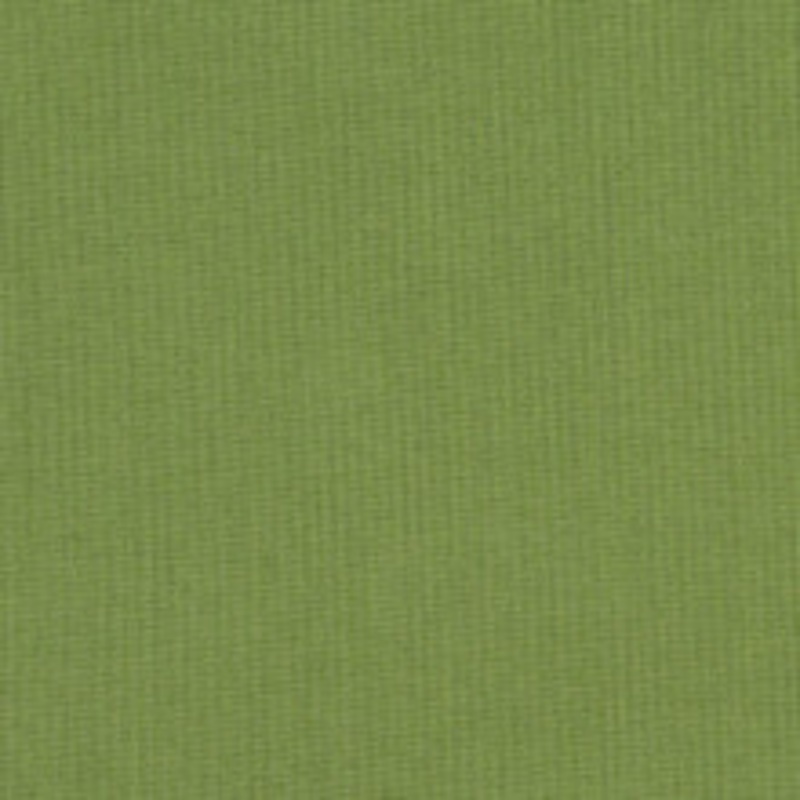 Sunbrella Fabric 48022 Spectrum Cilantro