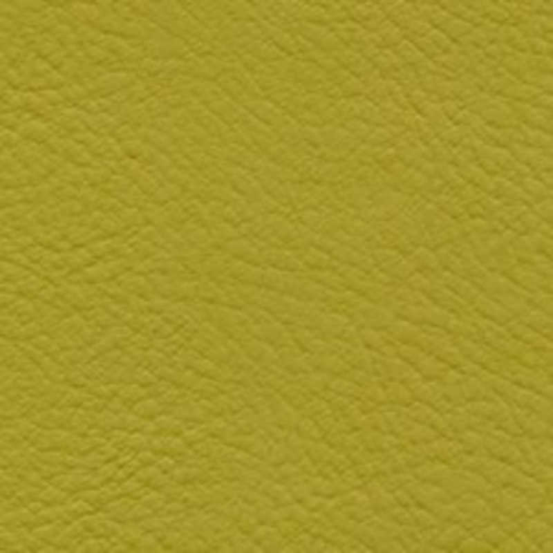 Nassimi Fabric Verve Guacamole