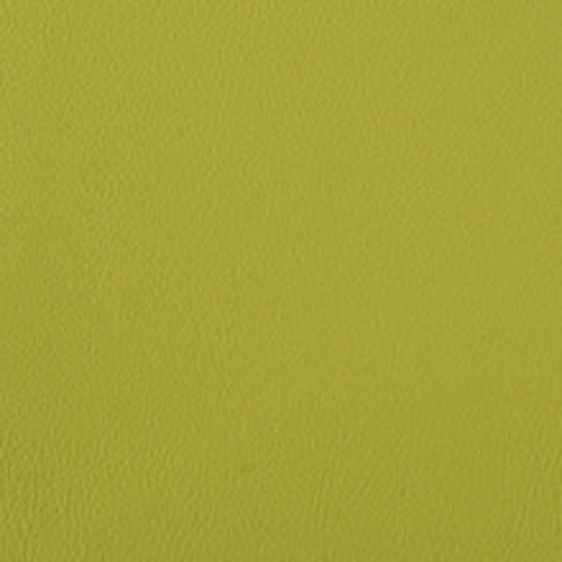 Nassimi Fabric Foundation Spring