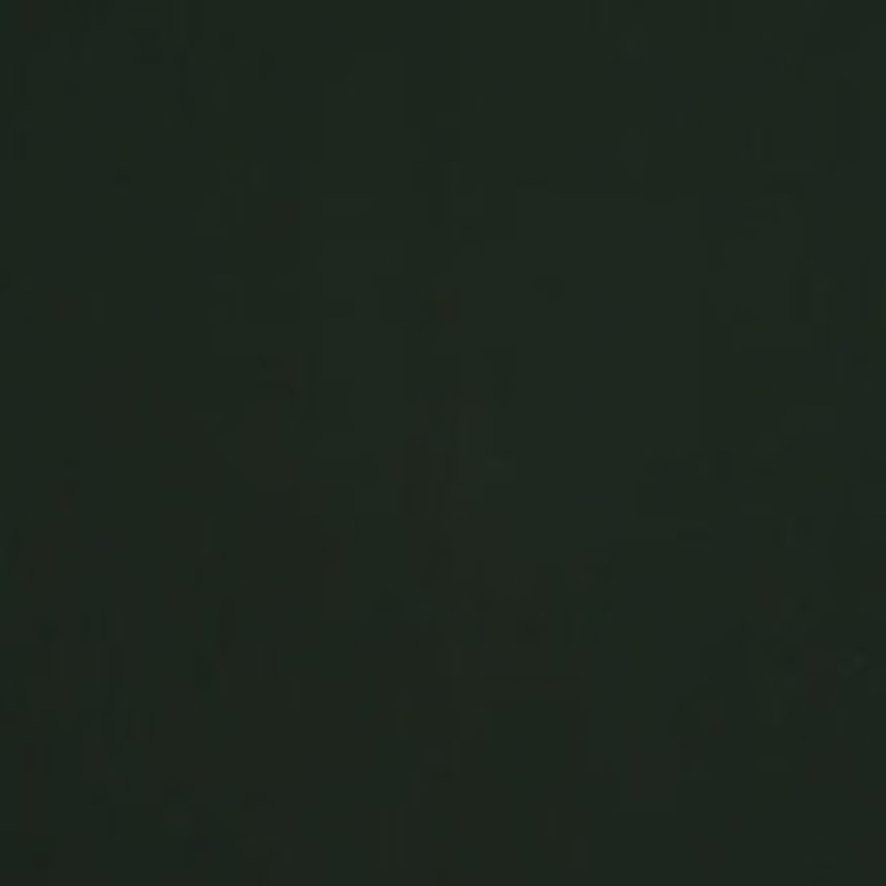 Morbern Fabric Prodigy Hemlock